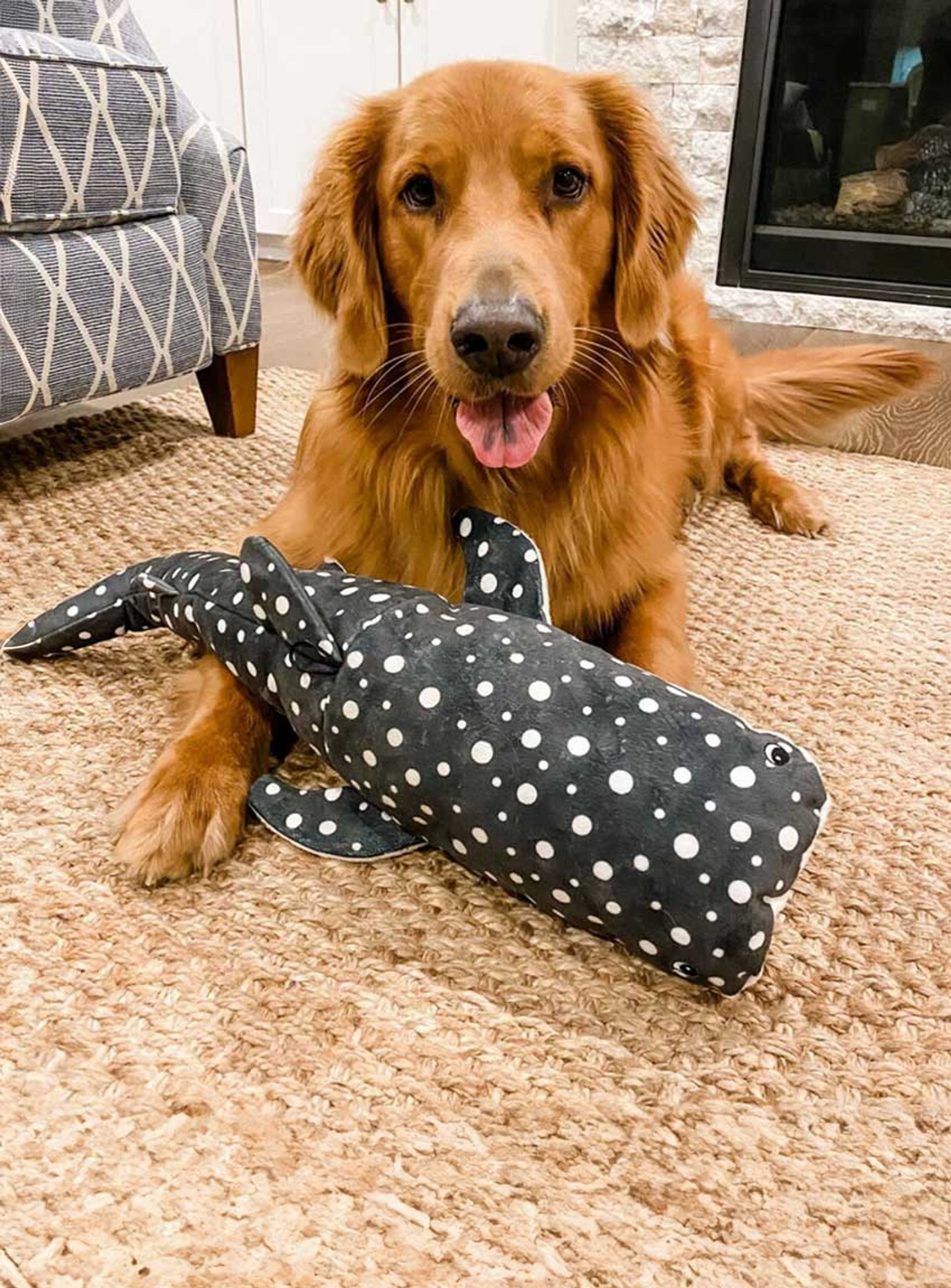 Snuggle Puppy® Heartbeat Stuffed Toy for Pet Anxiety Relief